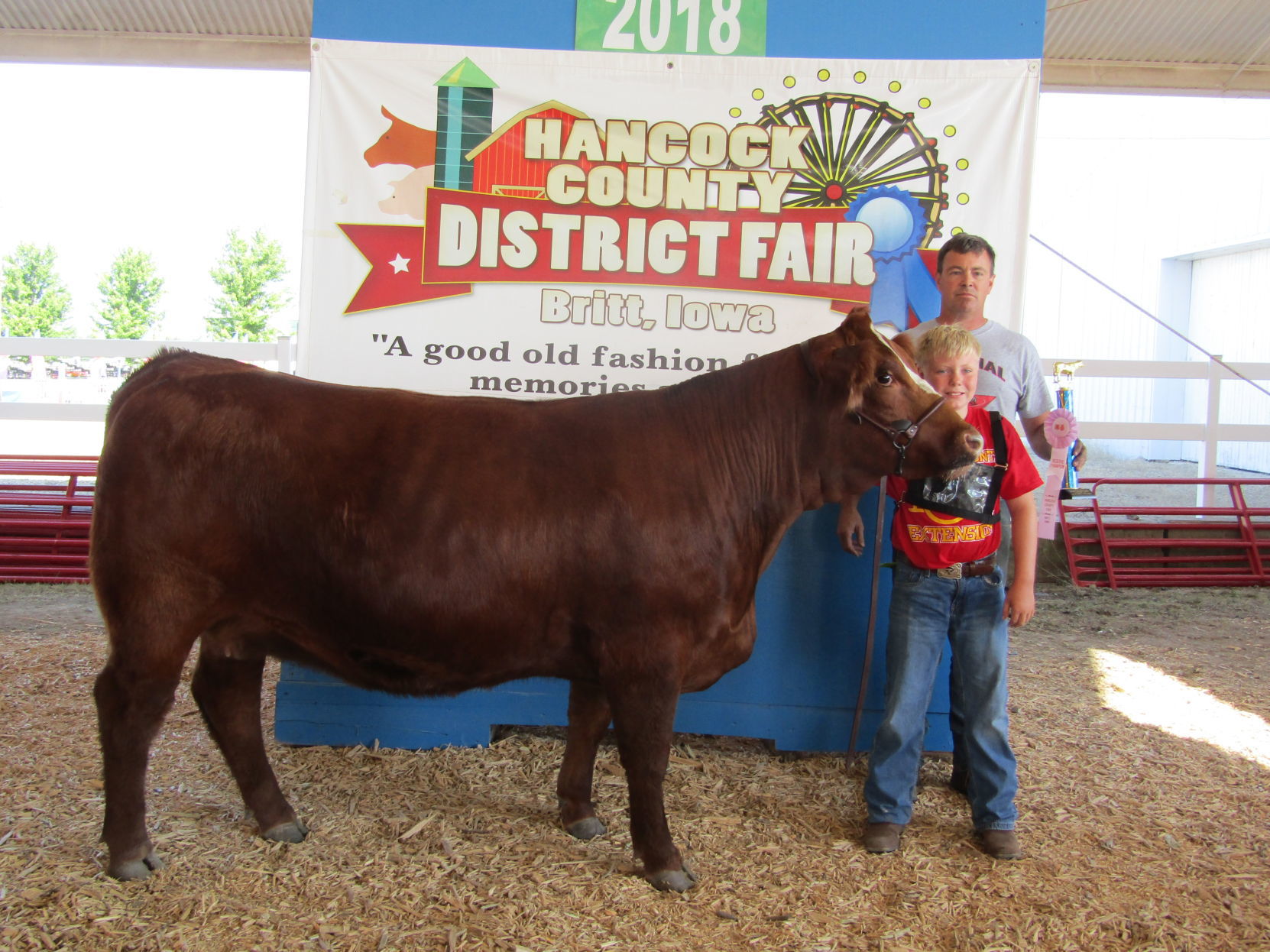 Beef Show 5